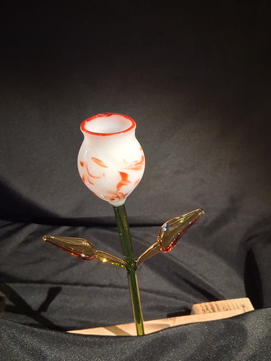 Timeless Flower