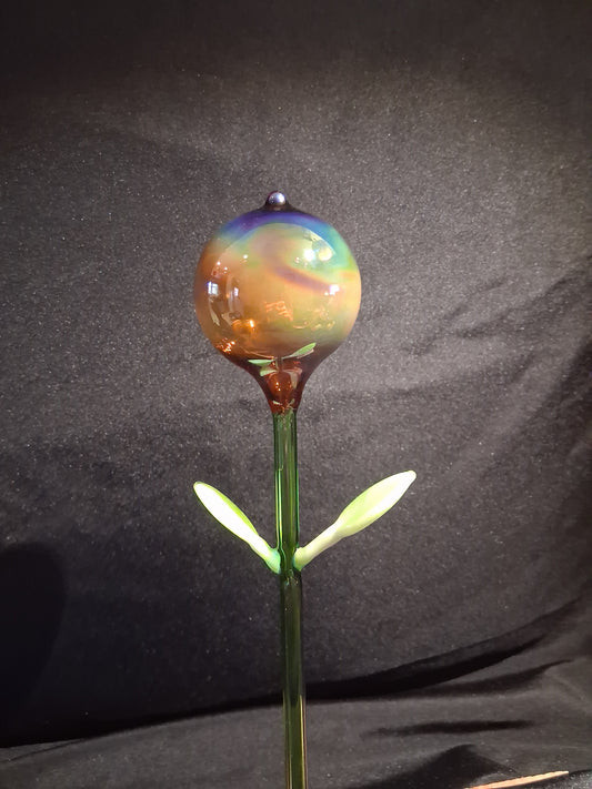 Timeless Flower