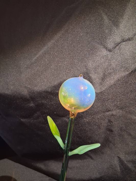 Timeless Flower