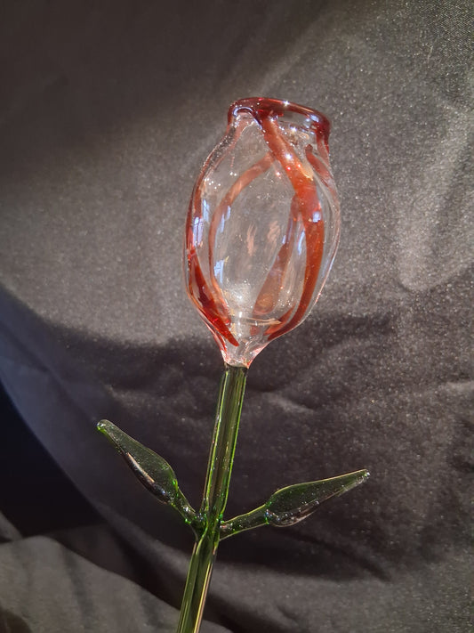 Timeless Flower