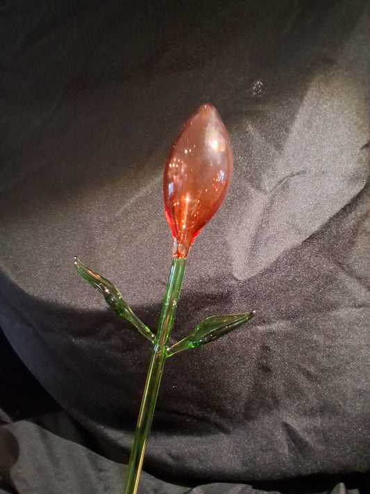 Timeless Flower
